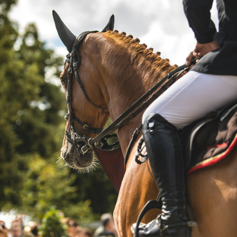 Actividad ecuestre en San Miguel de Allende, categoría lifestyle Ecuestre y Polo